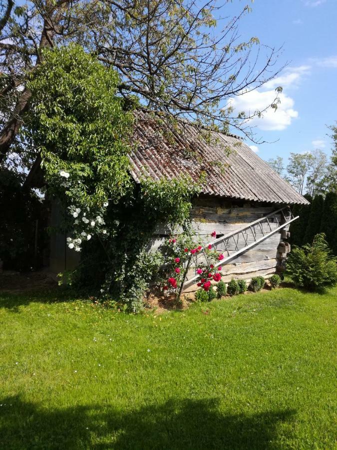 Kuca Za Odmor ,,Oletic 2" Villa Sveti Martin Na Muri Luaran gambar