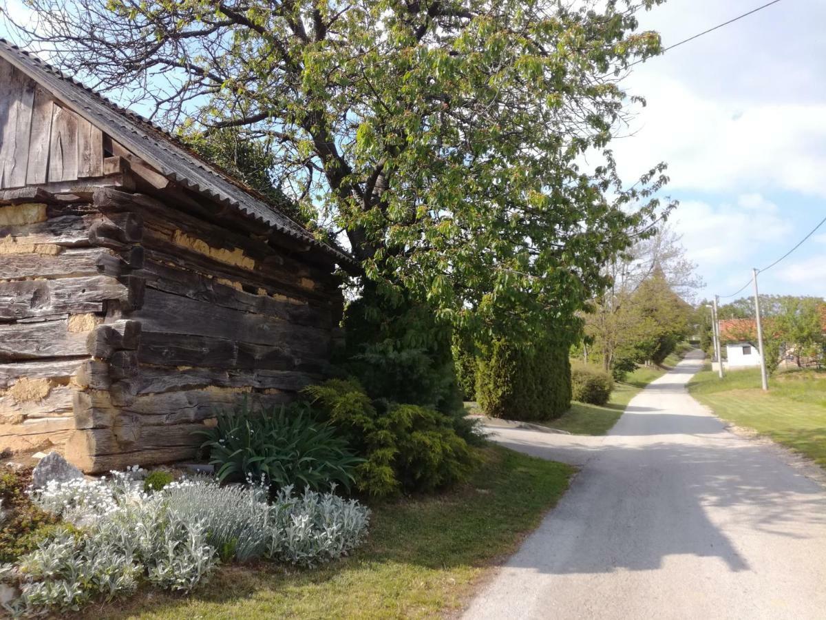 Kuca Za Odmor ,,Oletic 2" Villa Sveti Martin Na Muri Luaran gambar