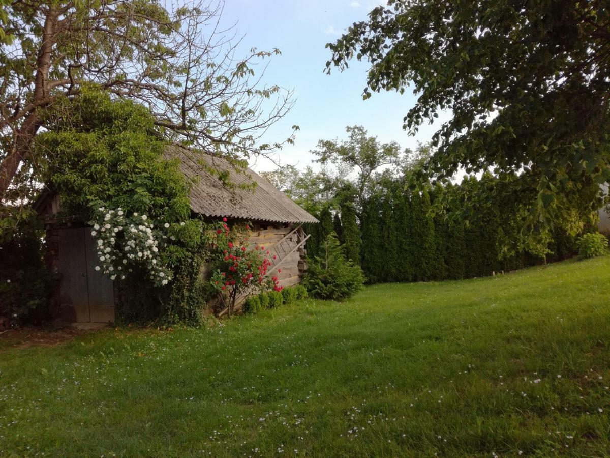 Kuca Za Odmor ,,Oletic 2" Villa Sveti Martin Na Muri Luaran gambar