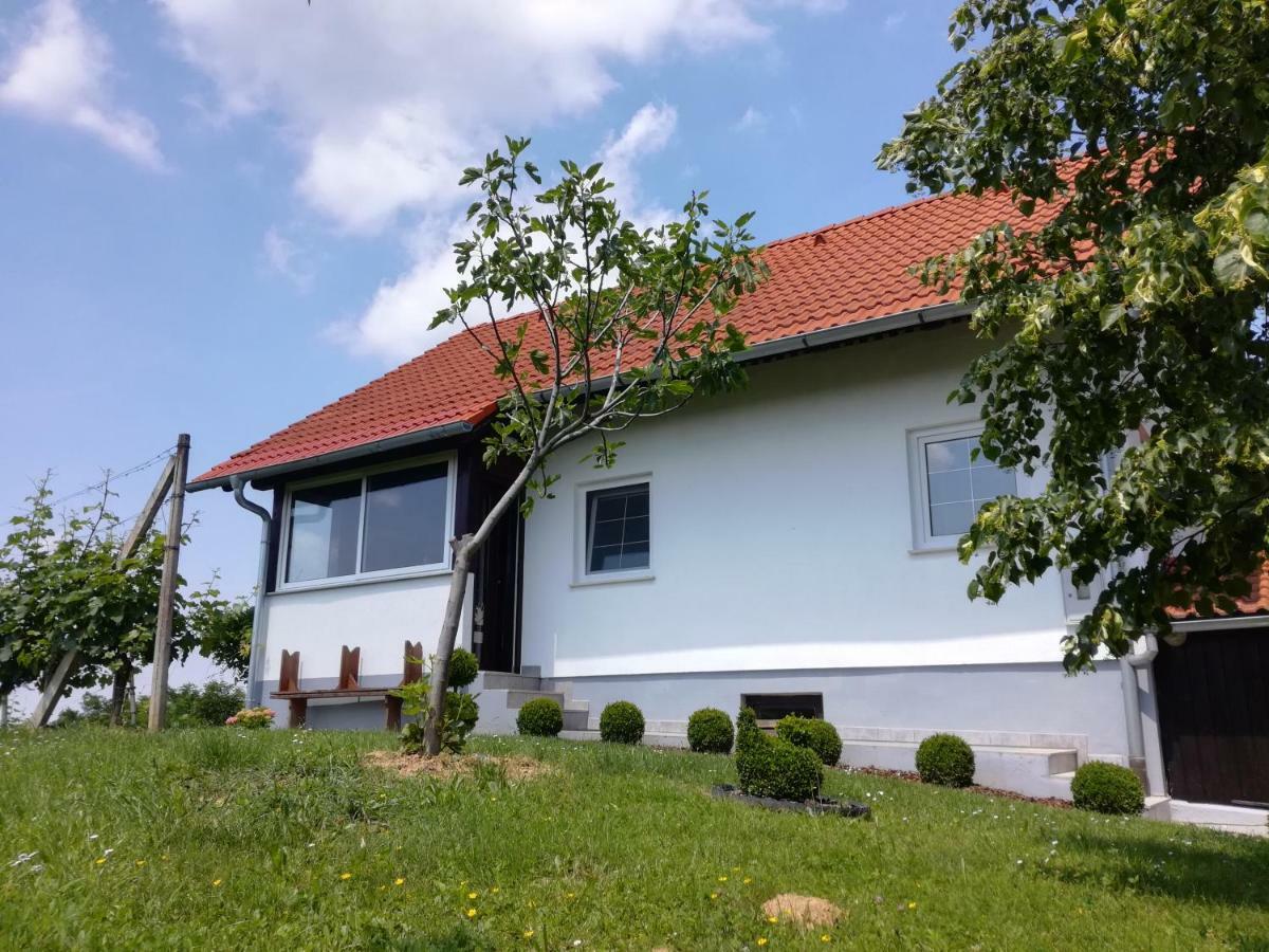 Kuca Za Odmor ,,Oletic 2" Villa Sveti Martin Na Muri Luaran gambar