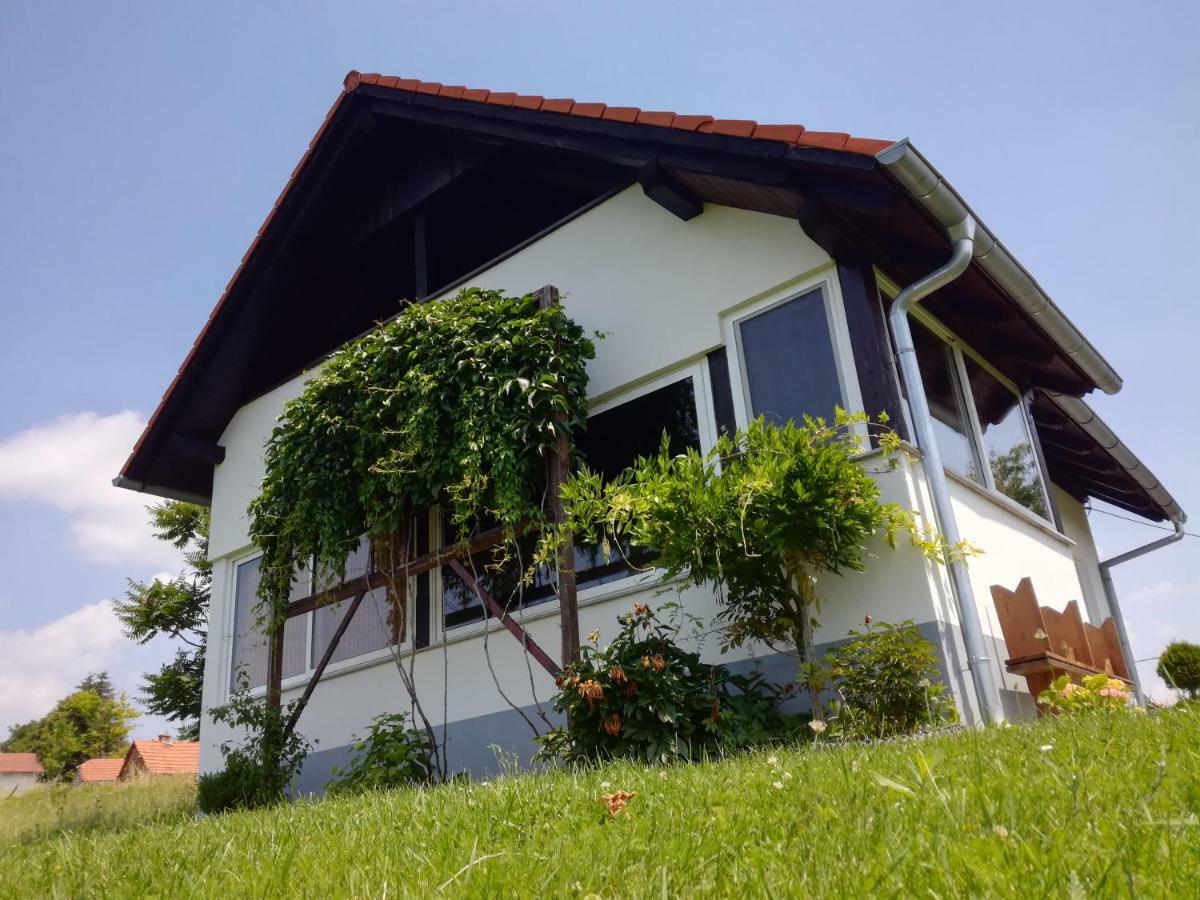 Kuca Za Odmor ,,Oletic 2" Villa Sveti Martin Na Muri Luaran gambar