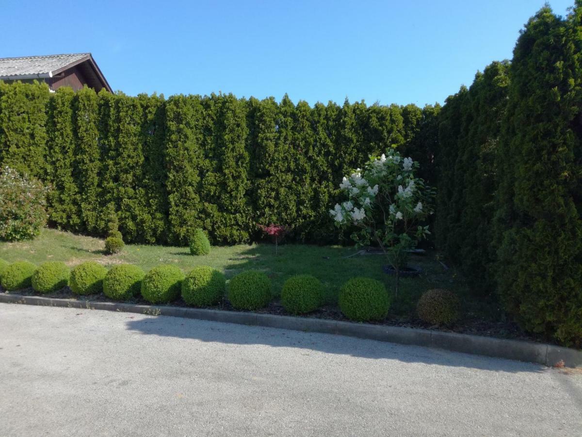Kuca Za Odmor ,,Oletic 2" Villa Sveti Martin Na Muri Luaran gambar