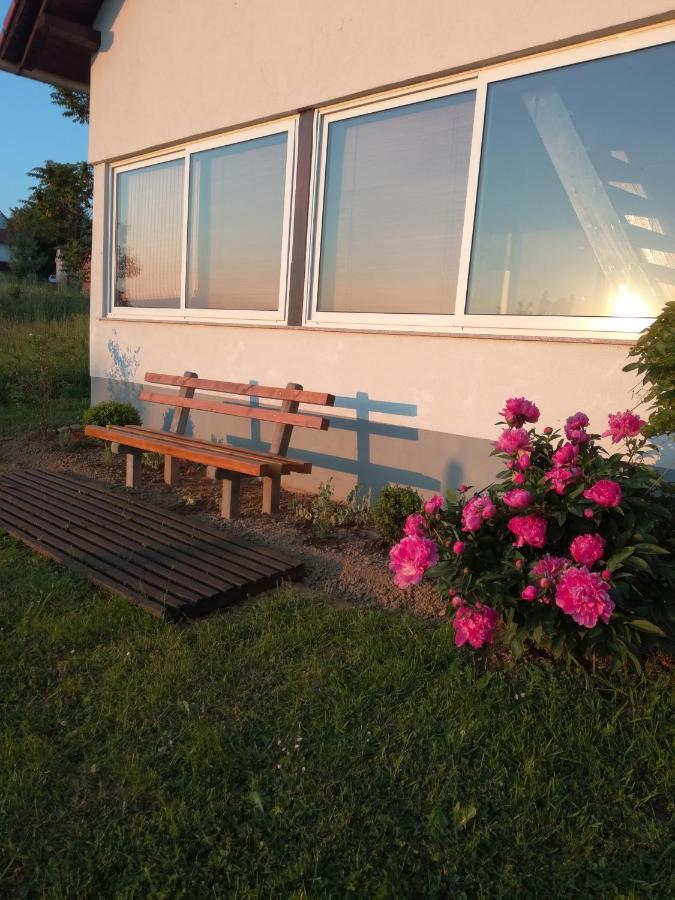 Kuca Za Odmor ,,Oletic 2" Villa Sveti Martin Na Muri Luaran gambar